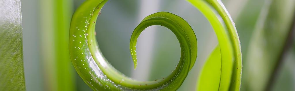 Naturheilpraxis: Heilpraktikerin in Frankfurt
